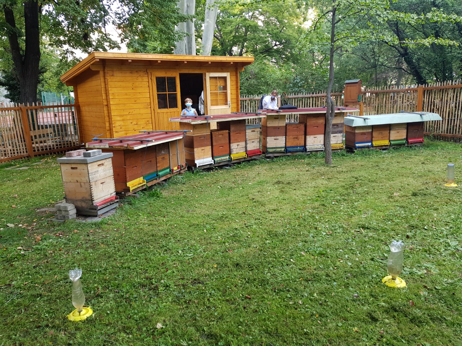 Gartenhütte mit Bienenstöcken davor